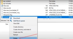What is Maintenance Mode in Developer Tools