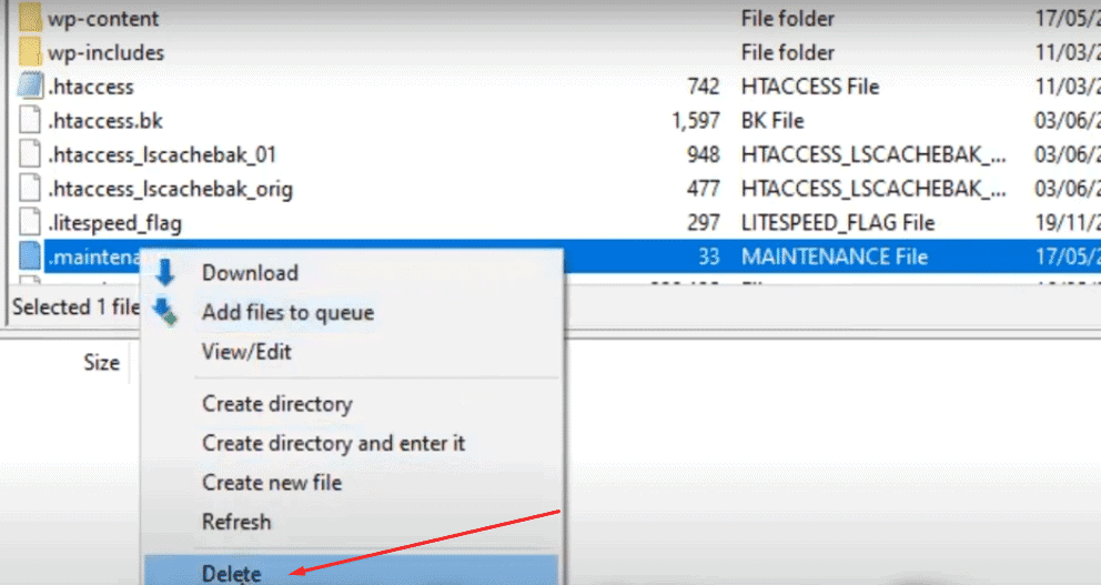 What is Maintenance Mode in Developer Tools