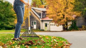 What Tools Do I Need for Garden Maintenance