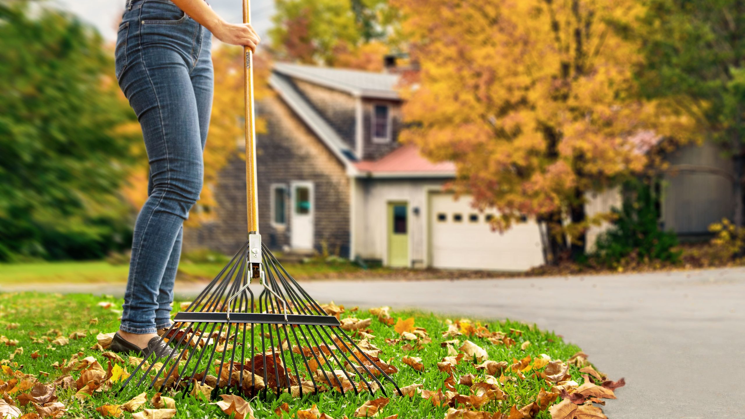 What Tools Do I Need for Garden Maintenance